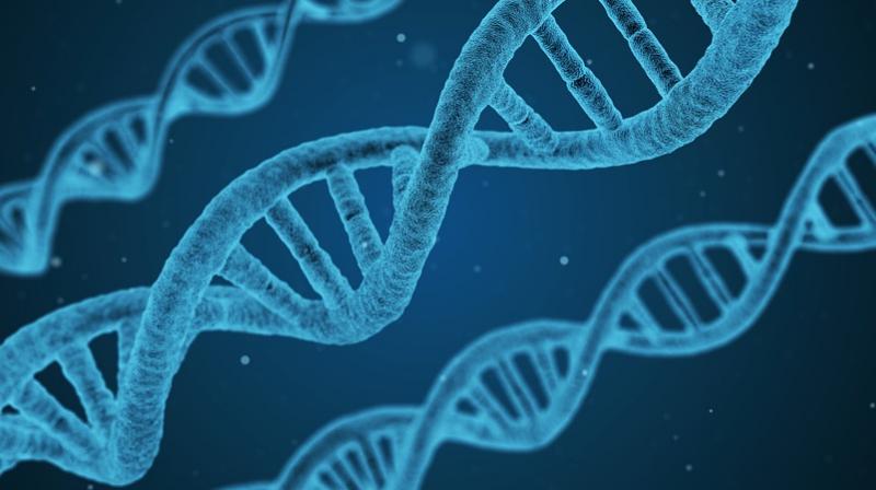 Scientists discover genes linked to Alzheimers disease and Down syndrome. (Photo: Pixabay)
