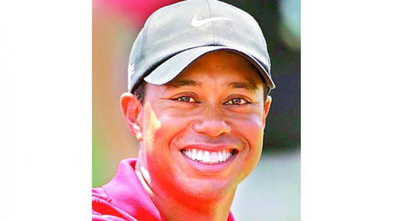 Tiger lost in the Woods: