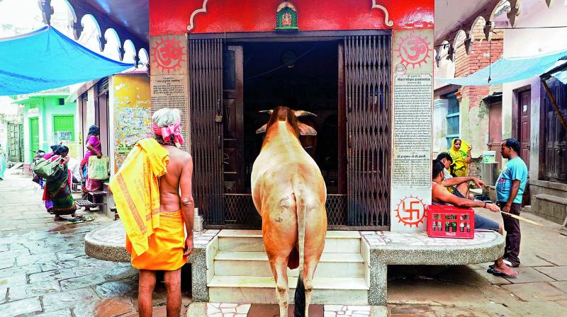 Waiting for prasad in Varanasi