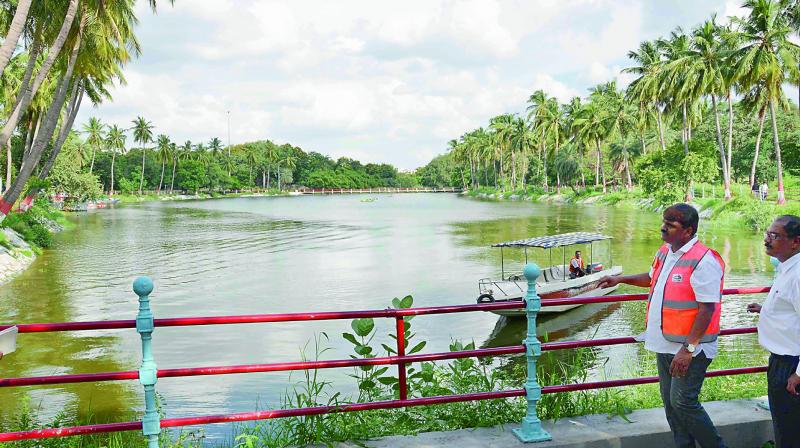 Pond in Indira Park that has been revived. 	(Photo:DC)