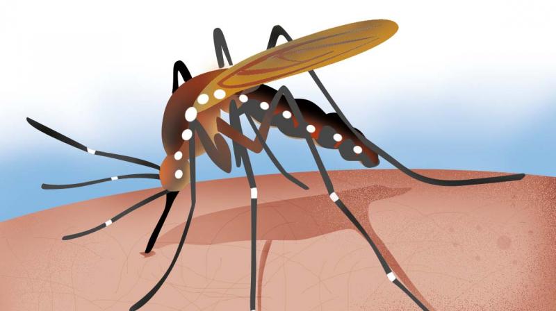 Dengue remained a major challenge for the state health department recording more than 23,000 cases and 63 deaths in Tamil Nadu, but malaria cases also saw a steep rise last year.