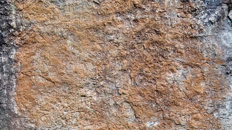 A megalithic standing stone engraved with Tamil inscriptions found near Rajakumari in Idukki hill range of Central Kerala. (Photo: DC)