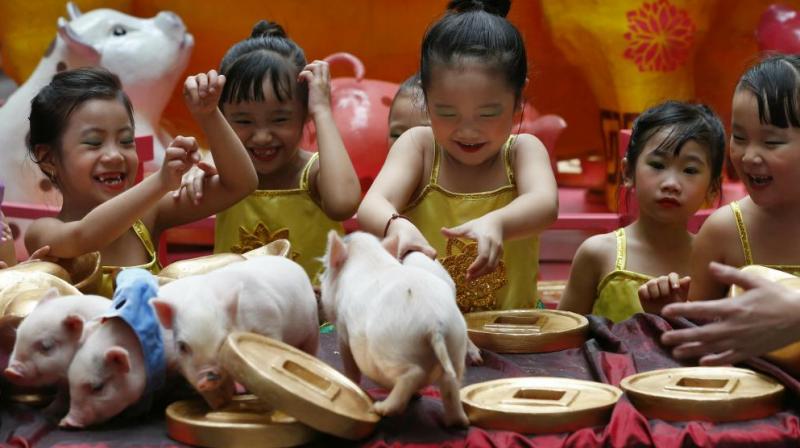 Girls play with live Teacup pigs, at the start of celebrations for the Lunar New Year, in Manila, Philippines. (Photo: AP)