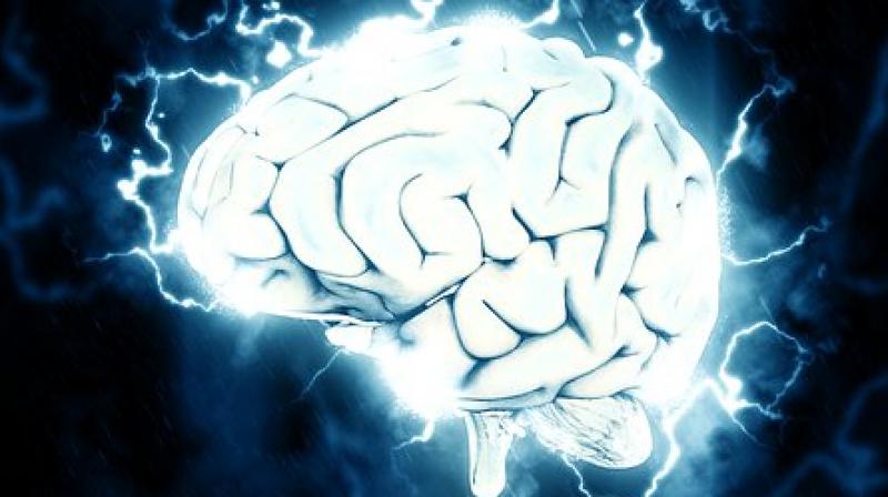Electrical stimulation could offer promise for treating memory disorders like Alzheimers disease. (Photo: Pixabay)