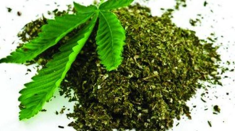 Two women who were smuggling ganja on the Mumbai-bound LTT Express were arrested by the railway police on Monday.