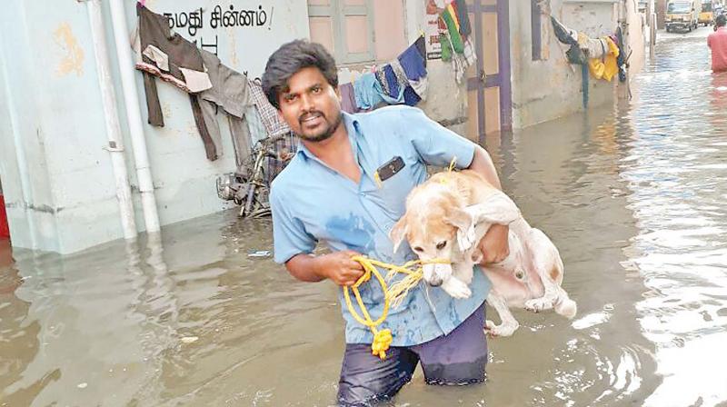 A man rescues a dog during heavy rains. (Photo: DC)