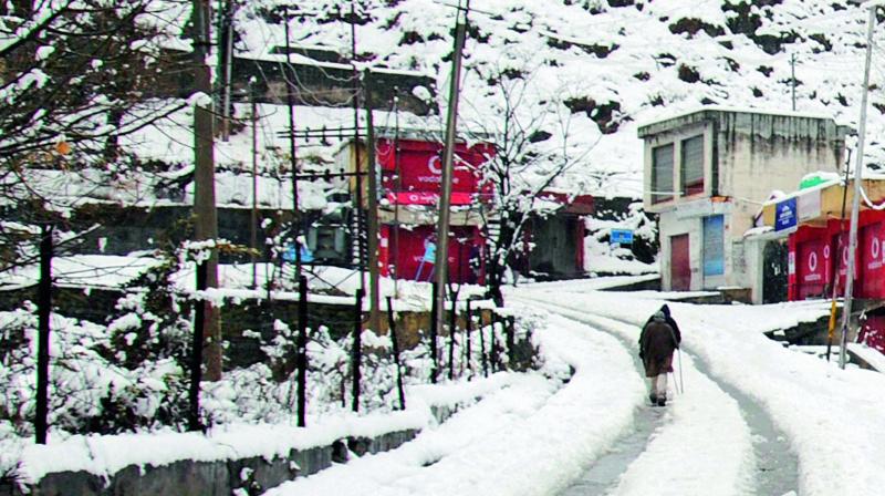 A view of the fresh snowfall on the Mughal Road which connects Rajouri and Poonch districts in the Jammu region with Shopian district in Kashmir Valley. (Photo: PTI )