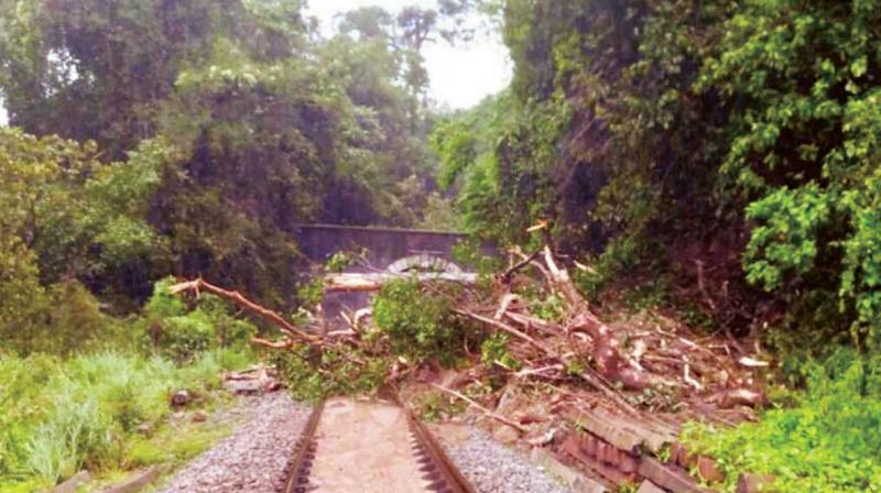 Fresh landslide on tracks in Sakleshpur of Hassan brought train services to a halt on Tuesday