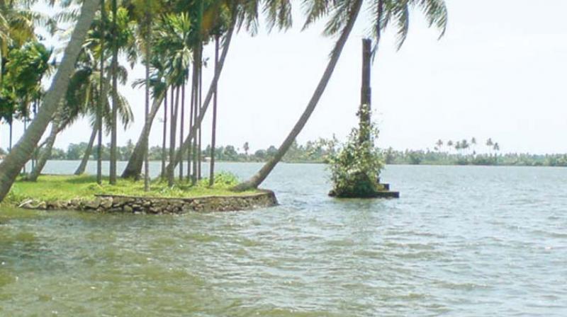 One can also take the boats plying in the Muhamma-Kumarakom water route.