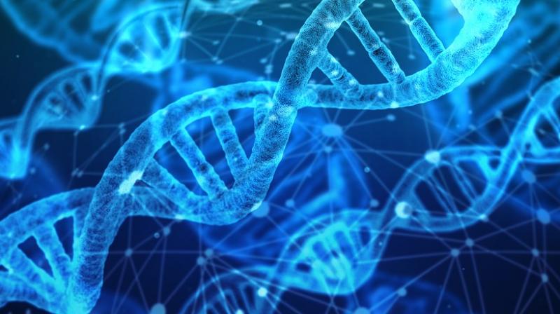 DNA can determine your academic success, new study finds. (Photo: Pixabay)
