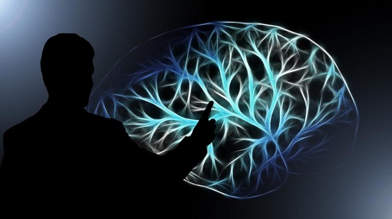 New study links attention deficit disorder to impaired brain coordination. (Photo: Pixabay)