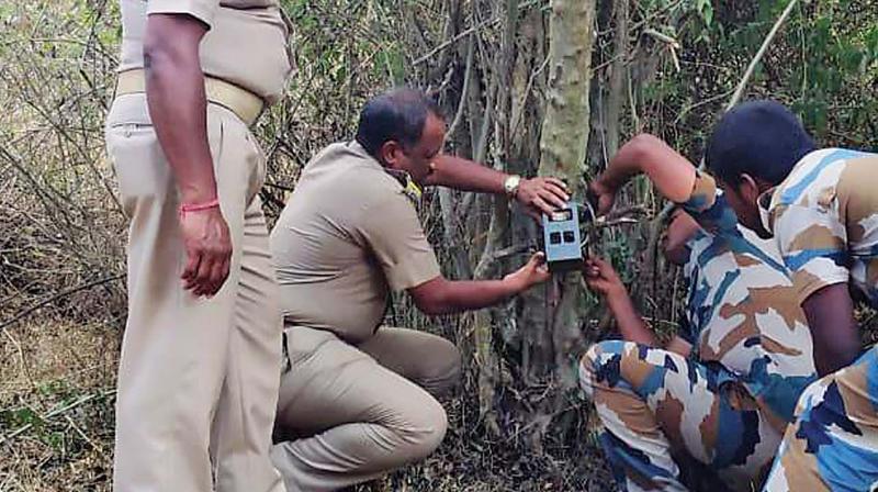 Camera traps are being fixed in the select points inside the woods at Segur jungles in MTR buffer zone.	DC