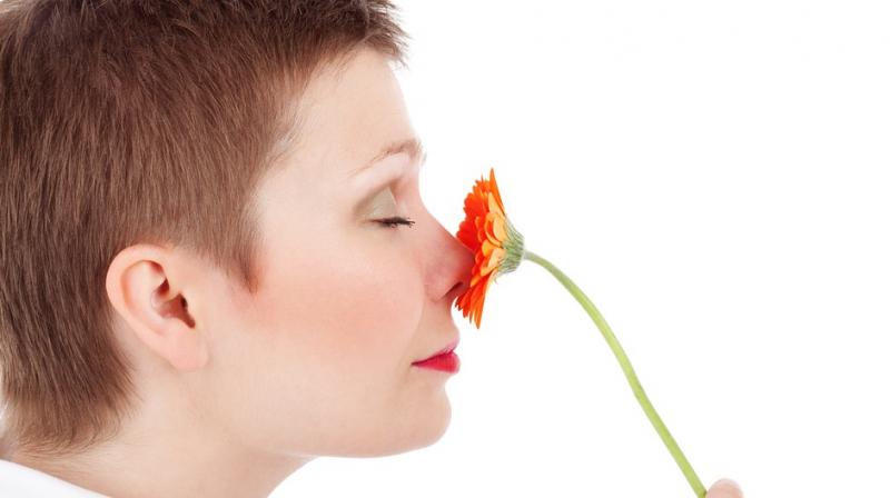 People with good spatial memory are good at identifying smells. (Photo: Pixabay)