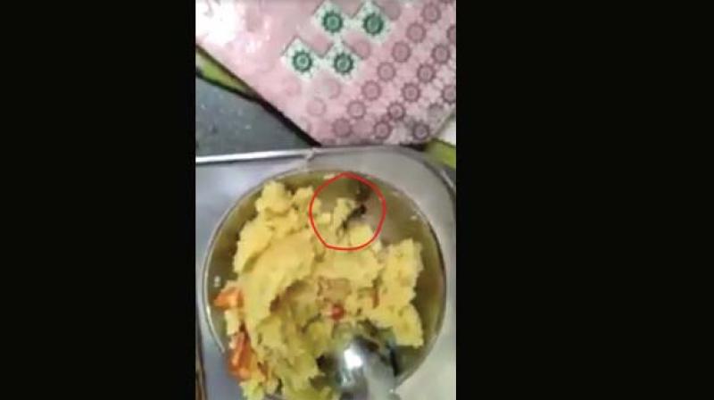 The video, which runs for 1.38 minutes and shot at Kottigepalya Indira Canteen, clearly shows a cockroach and what appears to be a fly.