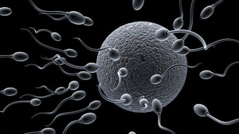 A novel smartphone-powered device now allows men to measure their sperm count from the comfort of their home. (Photo: Pixabay)