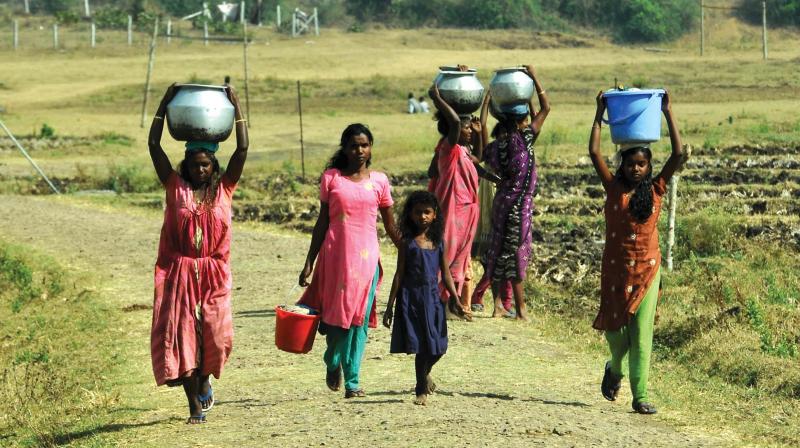It is a long walk for tribal folk at Kolavally to collect water. (Photo:  DC)