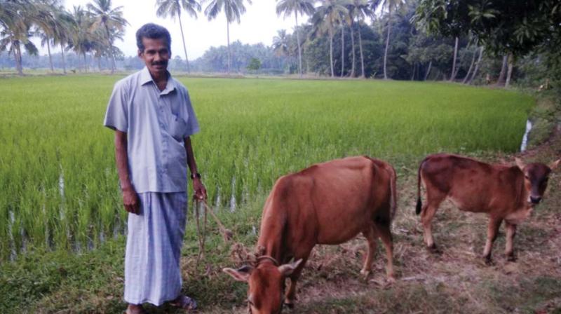 T.R. Santhosh Kumar, an organic farmer in Palakkad.