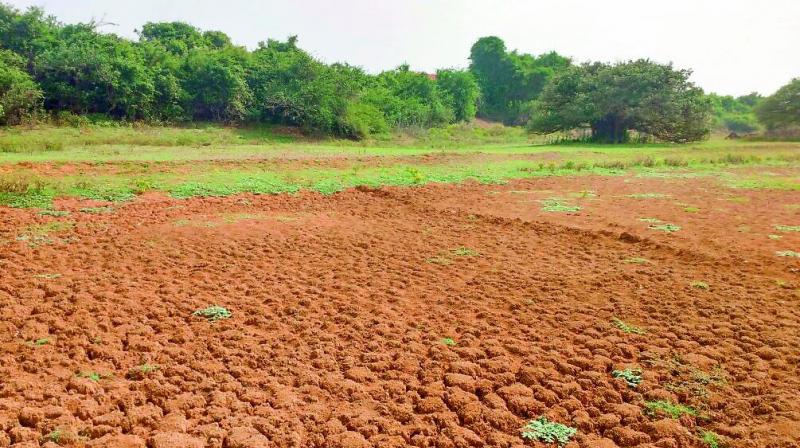 The parched water tank at Nelapattu Birds Sanctuary in Nellore district.  (Photo: DC)