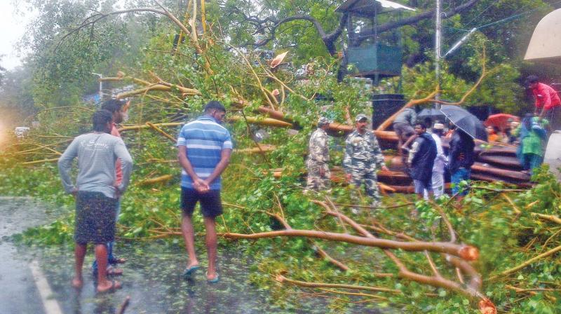 Several known faces came to the fore in face of the cyclone.