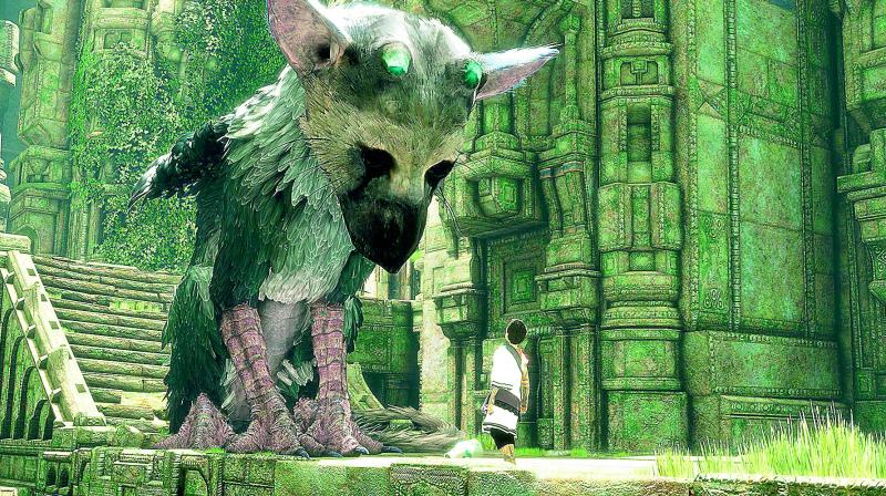 When the game starts, the boy and Trico dont know each other but over time their bond becomes stronger.