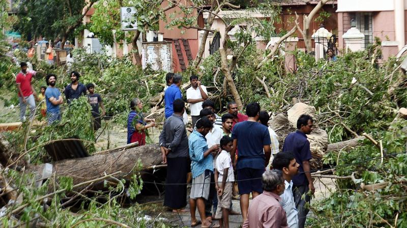 Residents looking at the uprooted trees in an area worst hit due to the Cyclone Vardah, in Chennai on Tuesday. (Photo: AP)