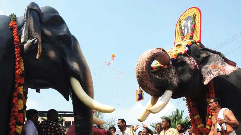 Elephant Padmanabhan of Guruvayur Devaswom garlands the statue of legendary elephant Guruvayur Kesavan during the annual remembrance day function held at Guruvayur on Friday. (Photo: ANUP K VENU)