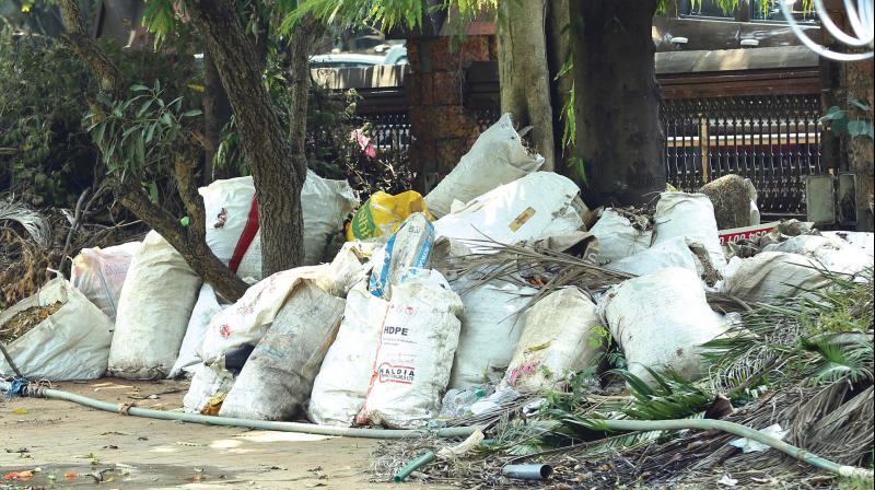 Waste sacks inside Mananchira Square. (Photp:  AKHIN DEV)