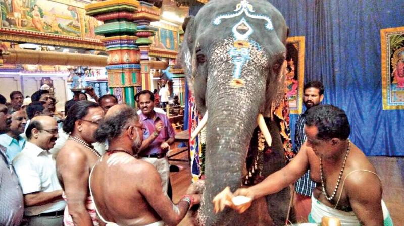 Special pooja done in the  temple before  elephant leaves for camp. (Photo: DC)