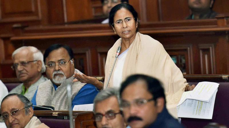 West Bengal Chief Minister Mamata Banerjee (Photo: PTI)