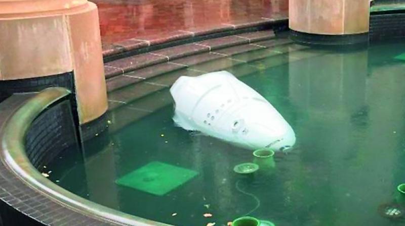 The drowned robot was spotted by passers-by whose photos of the aftermath quickly went viral on social media.