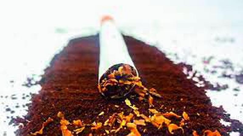 Filtered cigarettes and light sticks are some forms of tobacco which are now being showcased as alternatives to regular cigarettes.