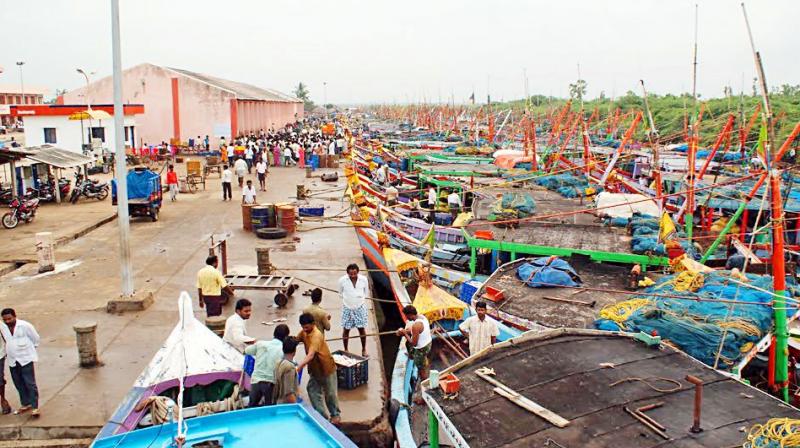 The Nizampatnam harbour, considered to be useful for the proposed Dindi Pharma Park in Adavuladeevi and Nizampatnam mandals, abuzz with activity.	(Photo: DECCAN CHRONICLE)