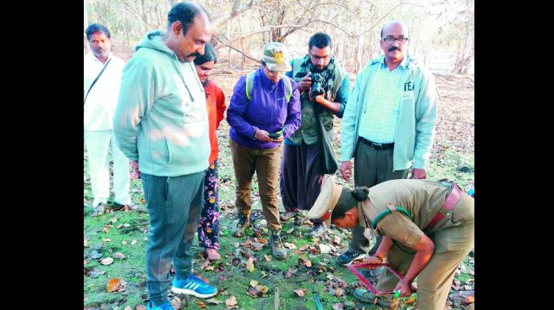 Forest officials collecting information on Day-2 of Tiger census in TS.