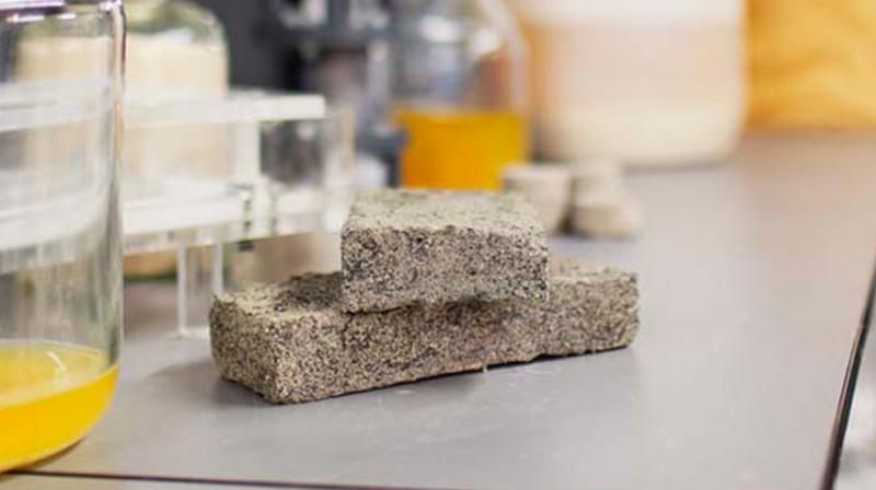 The grey bricks are produced in a lab over eight days using urine, calcium, sand and bacteria. Fertilizers are also produced during the processes. (Photo: University of Cape Town)