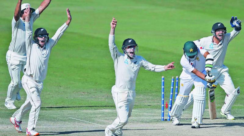 New Zealand players celebrate a Pakistan wicket during the fourth day of first Test. (Photo:  AP)
