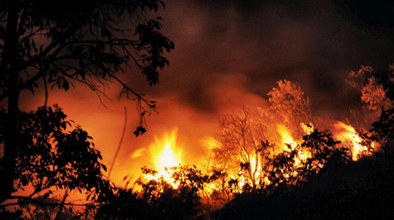 Forest fires in different parts of Seshachalam forest has been keeping the forest and fire wing personnel of TTD on their toes from the last two days. (Representational image)