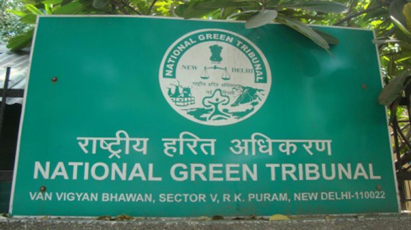 The two-member committee formed to study the road-widening project on Girivalam path in Tiruvannamalai submitted its report to the Southern bench of National Green Tribunal on Thursday.