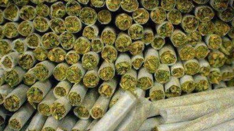 The police said that deceased Raghu Varma and accused Narayana Murthy had involved in ganja trade and they were arrested by Golugonda police for transporting the contraband in August 2016.  (Representational image)