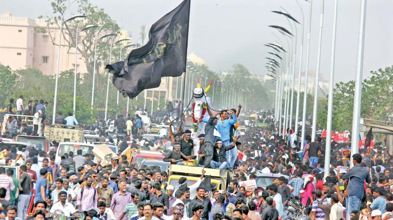 A large number of protestors gathered in support of Jallikattu at Kamarajar Salai  on Friday (Photo: DC)