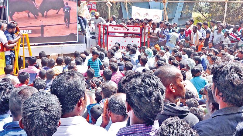 Thousands of protesters at Alanganallur watching a video on bull fight.