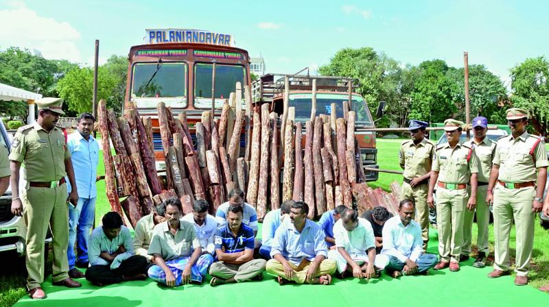 Kadapa SP Babuji with smugglers and seized vehicles in Anantapur on Tuesday. (Photo: DC)
