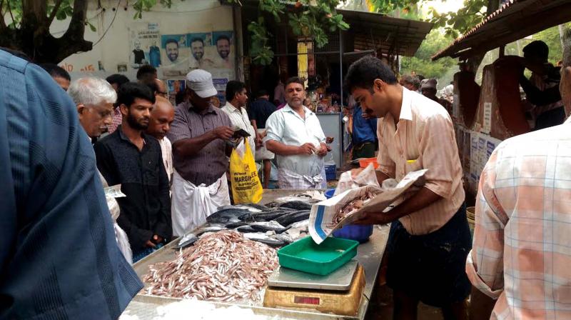 A plastic-free fish market in Kollam. Fish is seen wrapped in newspaper, instead of supplying it in plastic carry bags. (Photo:DC)