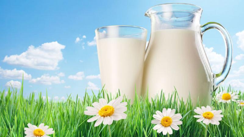 National Milk Quality Survey is to assess quality of milk with focus on unsafe or adulterated milk. (Representational image)