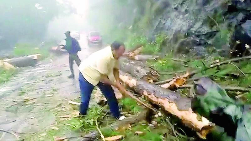 Man chops branches from a tree to clear a road after a cyclone struck Cuddalore, in the southern Indian state of Tamil Nadu. (Photo: PTI)