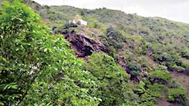 After realising that the earlier government had permitted gold mining in the area by a private company, the state government had withdrawn the Conservation Reserve status to Kappattagudda.