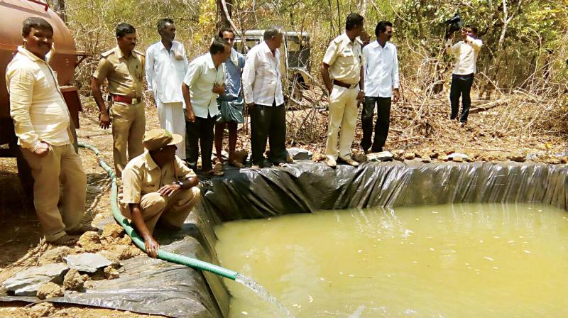 Officials try to protect animals and birds from the heat by constructing temporary ponds in Haveri.