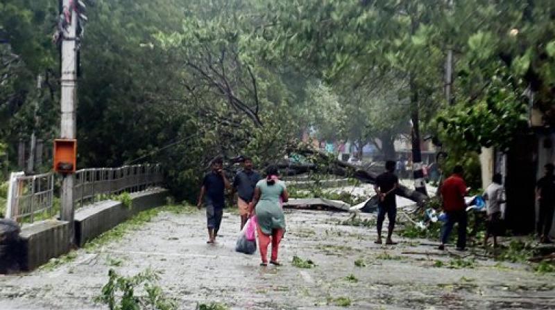 The National Disaster Management Authority has predicted rainfall over North interior Tamil Nadu and adjoining South Karnataka in next 12 hours. (Photo: PTI)