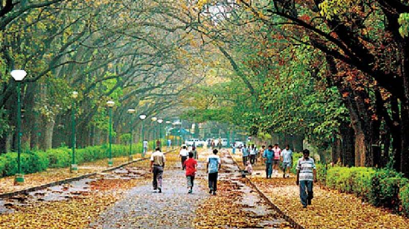 If the government allows any marathon within Cubbon Park in future, the association will approach the court for a stay order, the association warned.