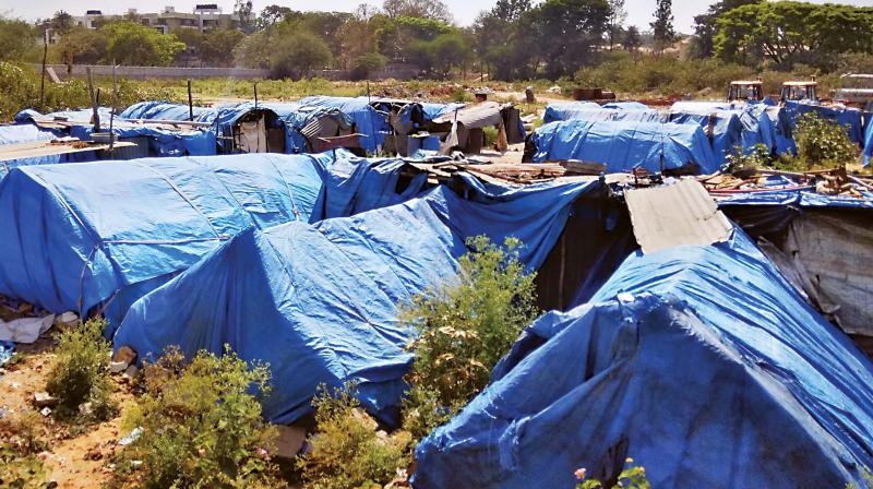 Sheds that sanitation workers are forced to call home Samuel Rajkumar