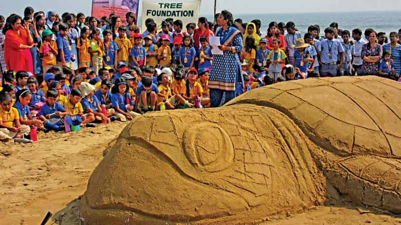 Paying homage to Olive Ridley turtles that washed ashore dead last year, members of TREE Foundation created a sand sculpture of the turtle in Neelankarai beach, on Thursday.